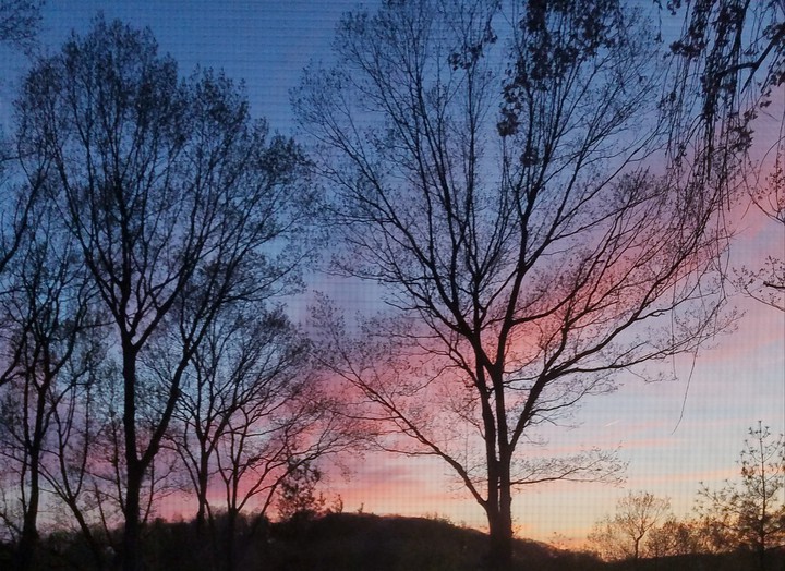 Clouded Beauty