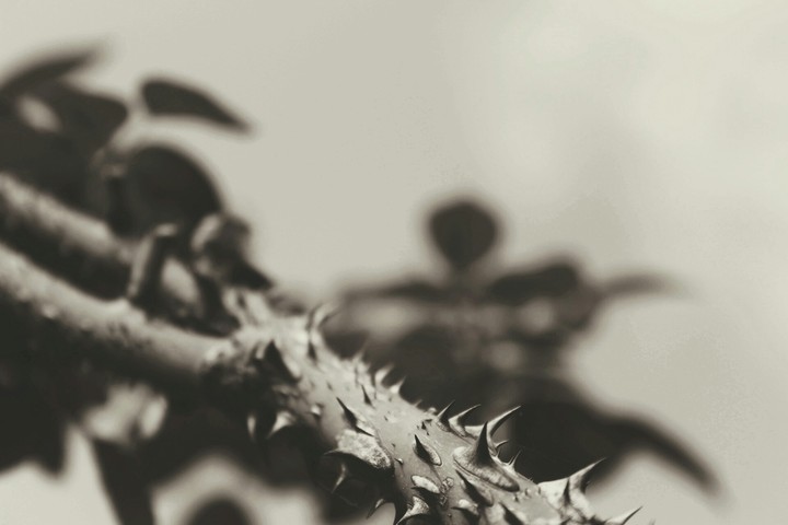 spikes