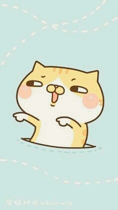 gatito lindo