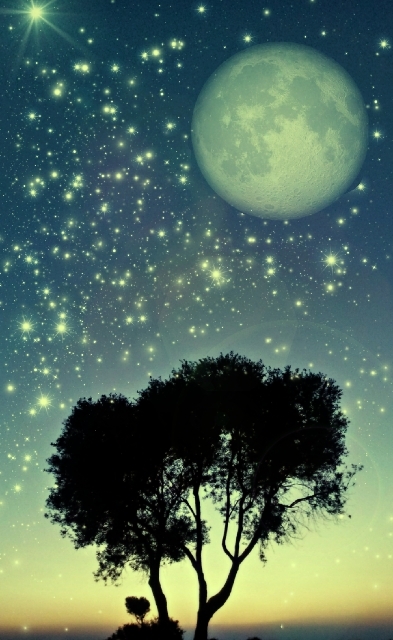 ı saw moon