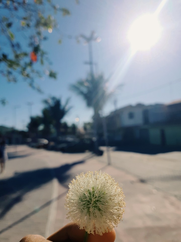 The amazing nature