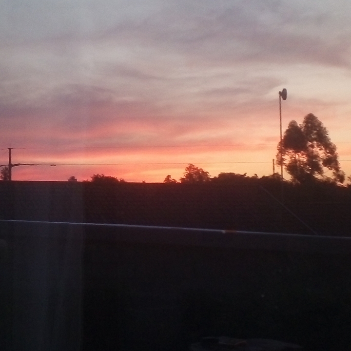 The sunset