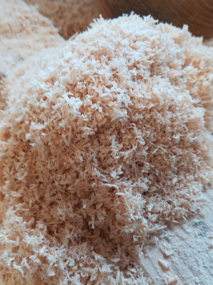 Holz