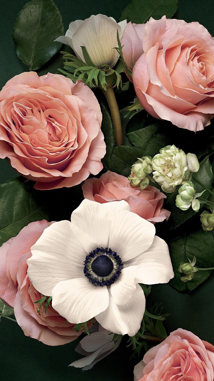 Pink Pastel Flowers. I ? it