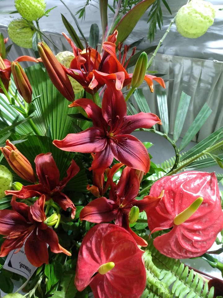 Flower power