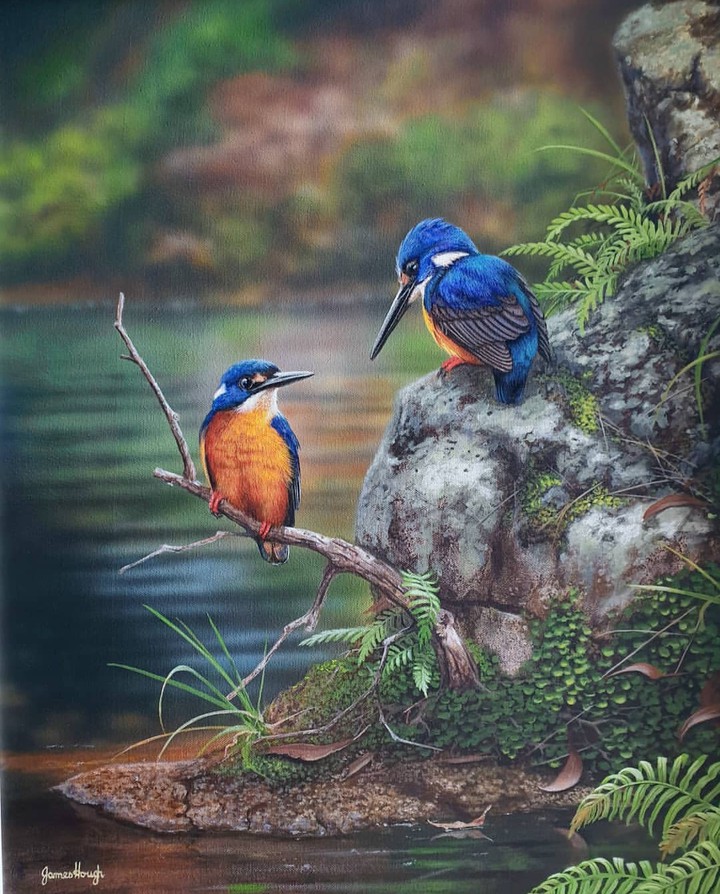 Kingfisher