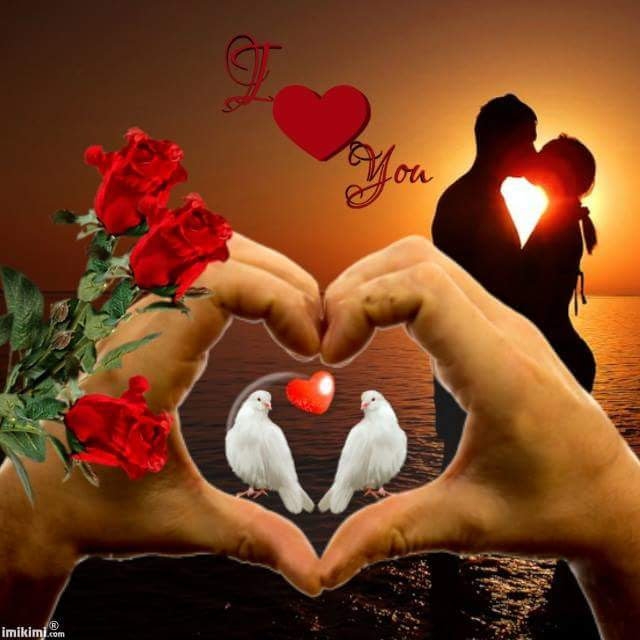 love