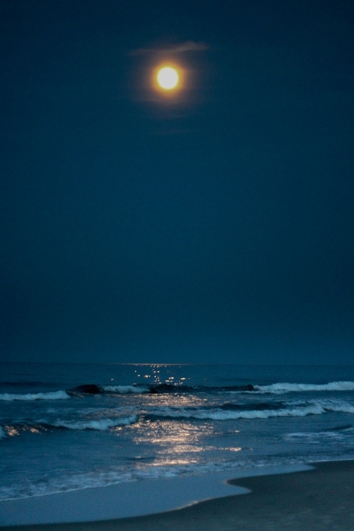 night