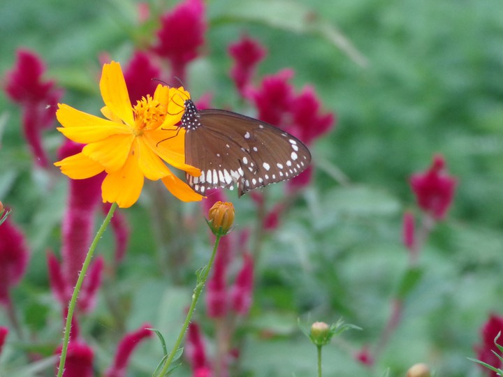 Beauty of nature