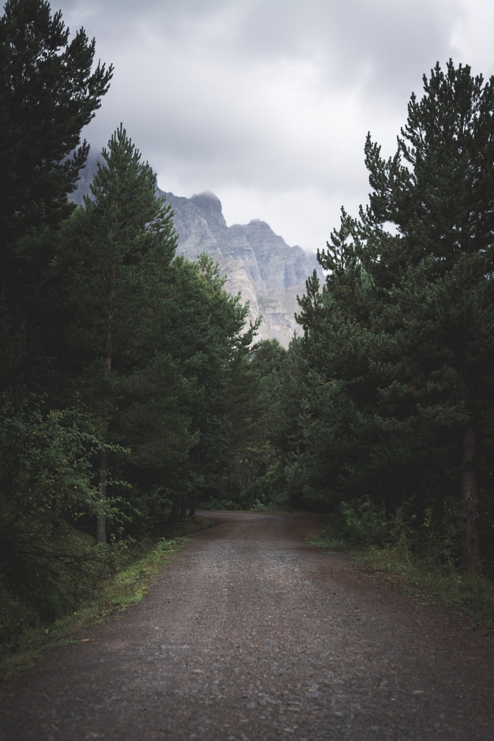 way of nature
