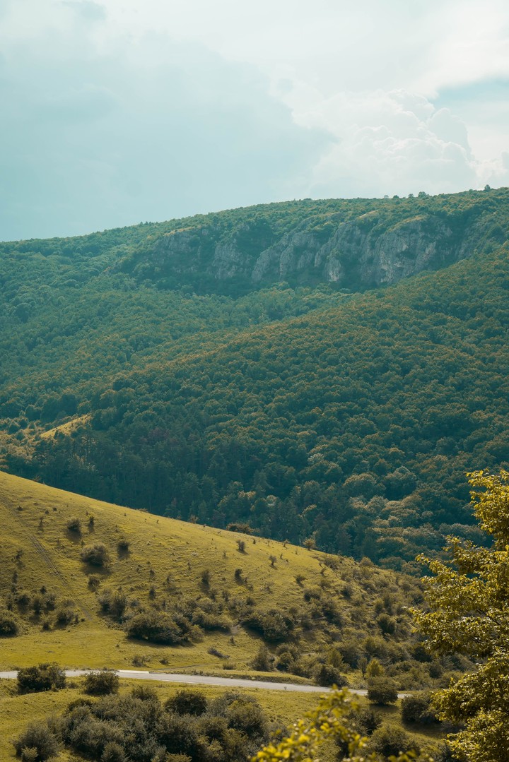 Nature