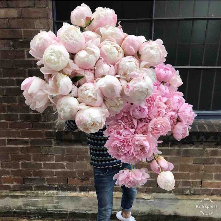 Цветы