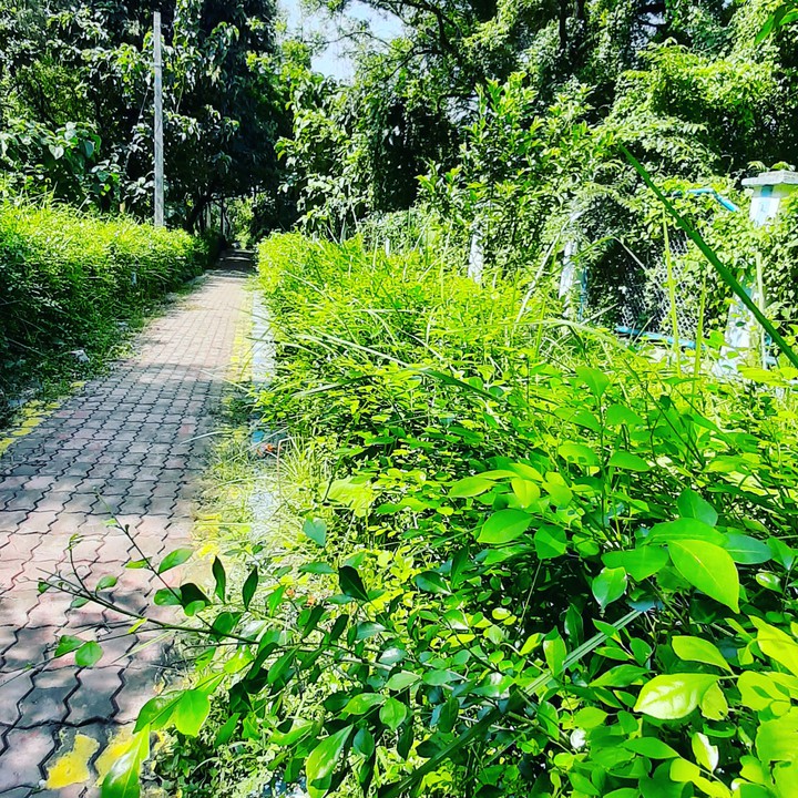 Nature.....