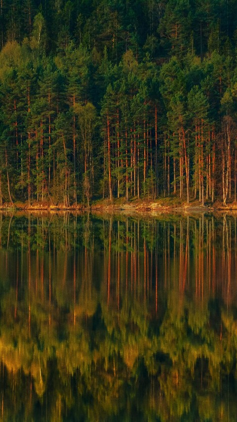 лес