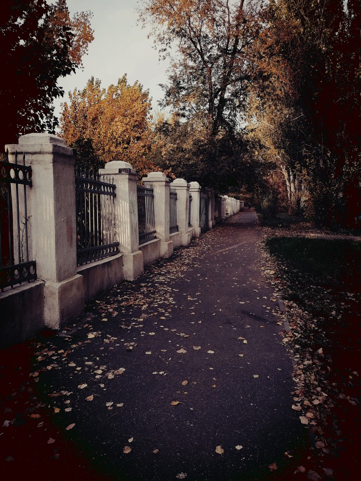 школа
