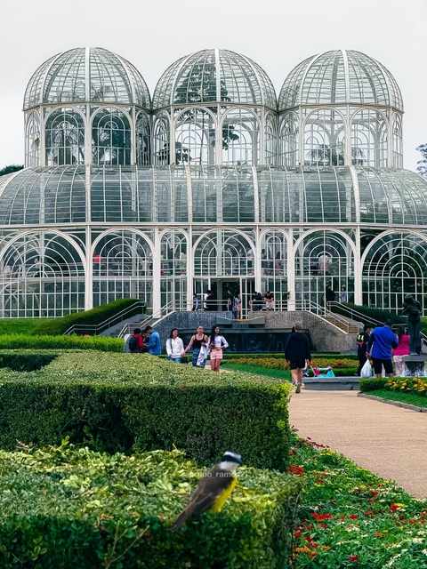 My Curitiba