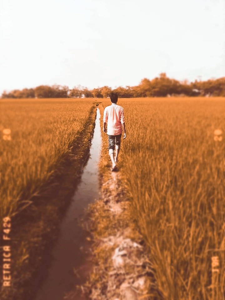 field