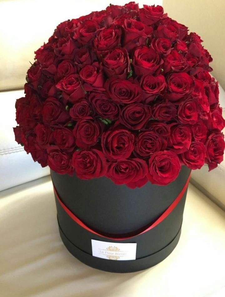 bride_rose