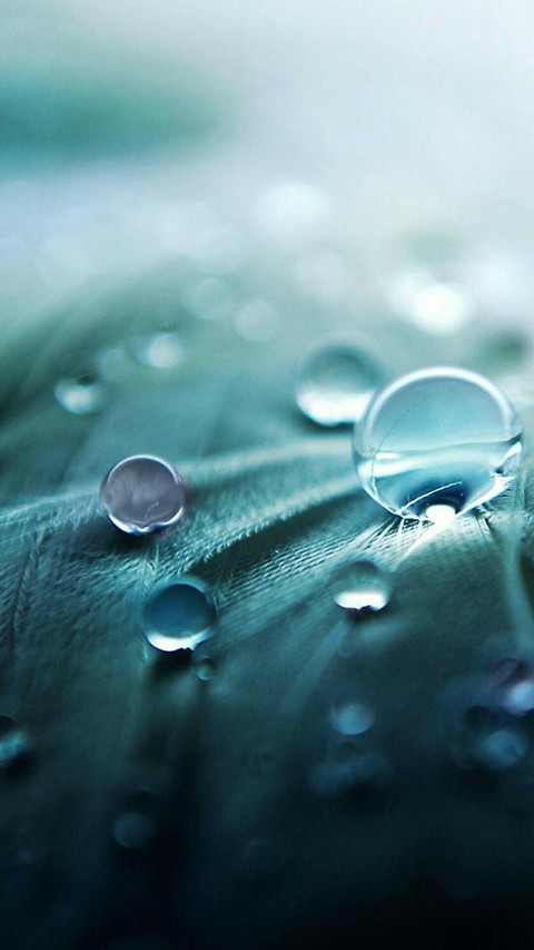 drops of water