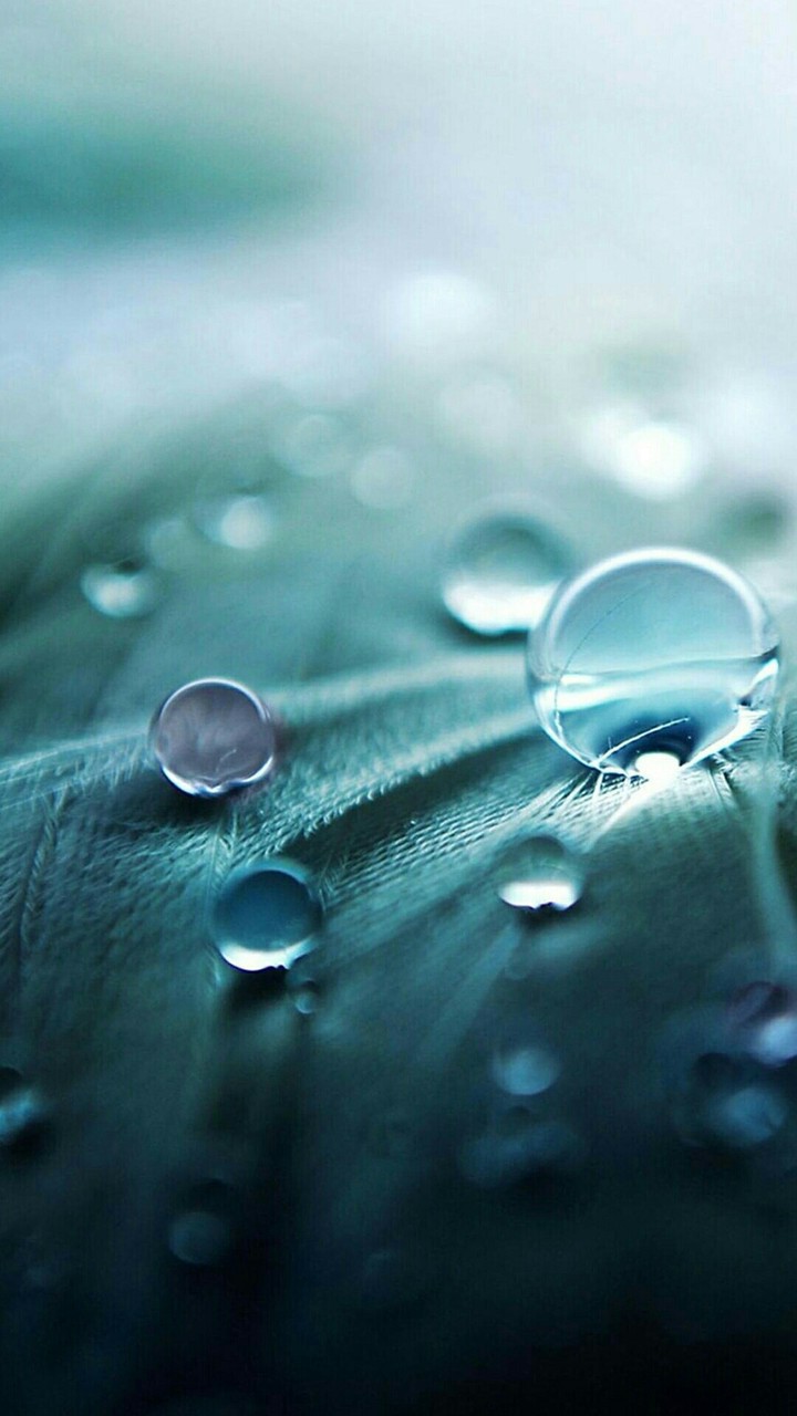 drops of water