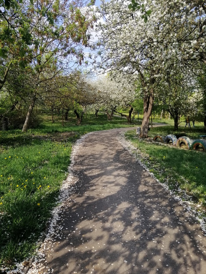 Nature