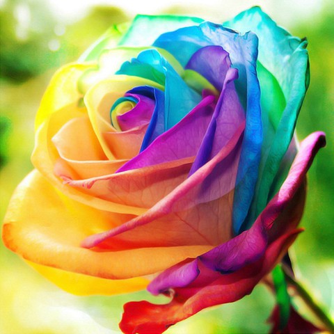 .♡☆○