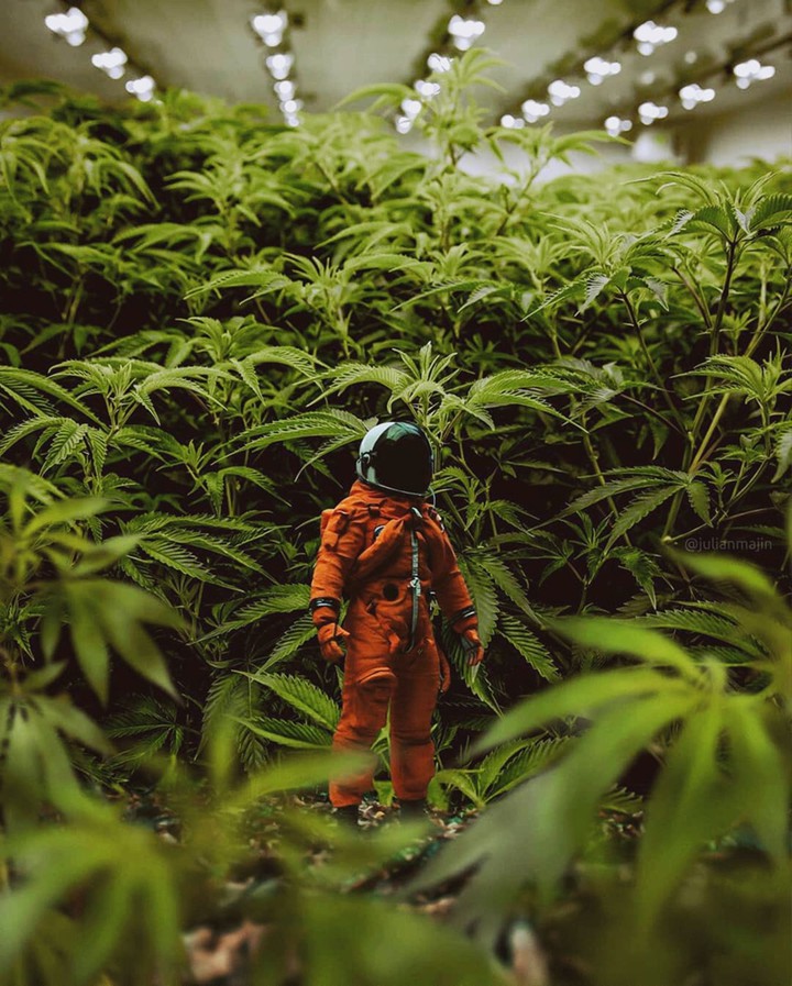 space