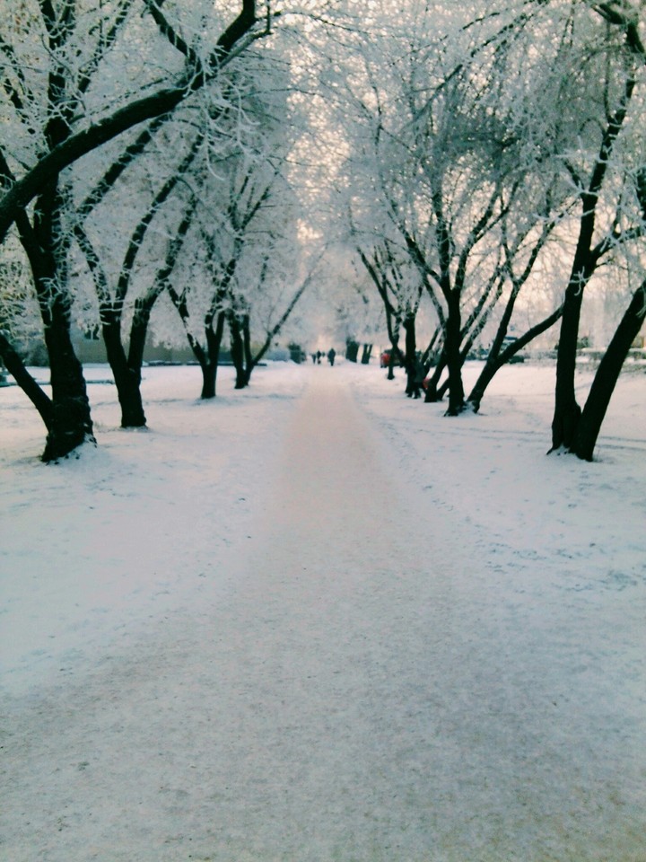? - by dacha555_10