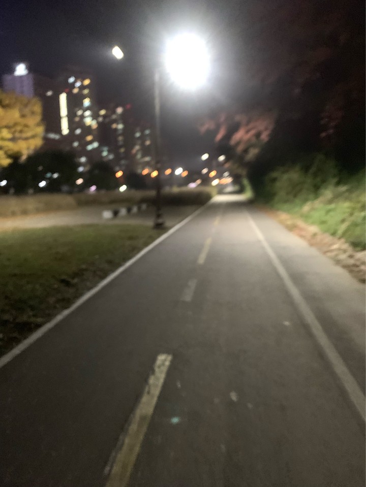 탄천 러닝운동 후