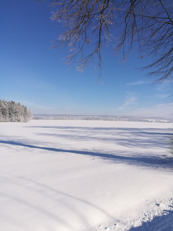 winter