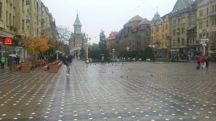 Timisoara