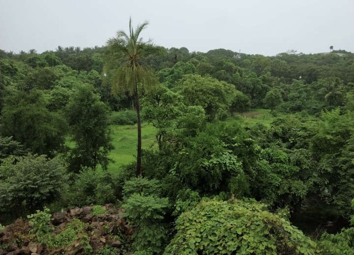 nature at it's best