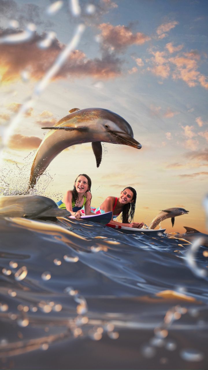dolphin