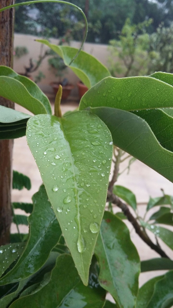 after another rainy day