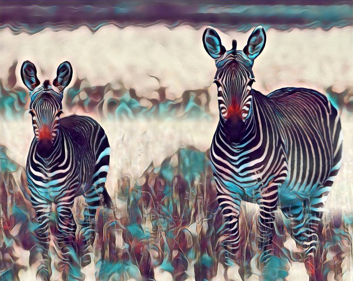 Zebra Mirage