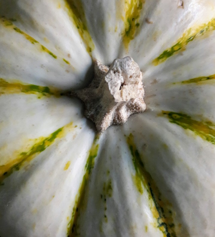 Close Pumpkin