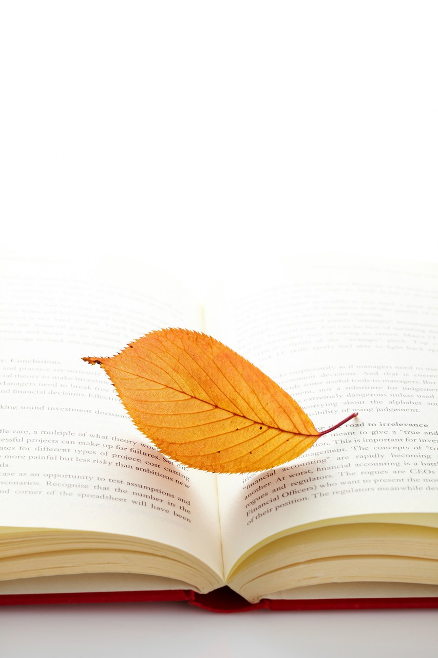 Leaf on a Book