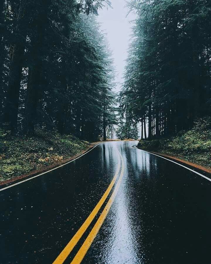 Wet road