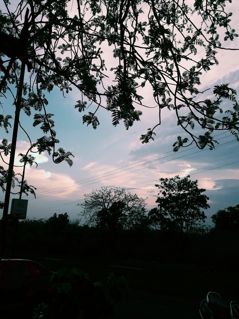 Nature is the most beautiful thing