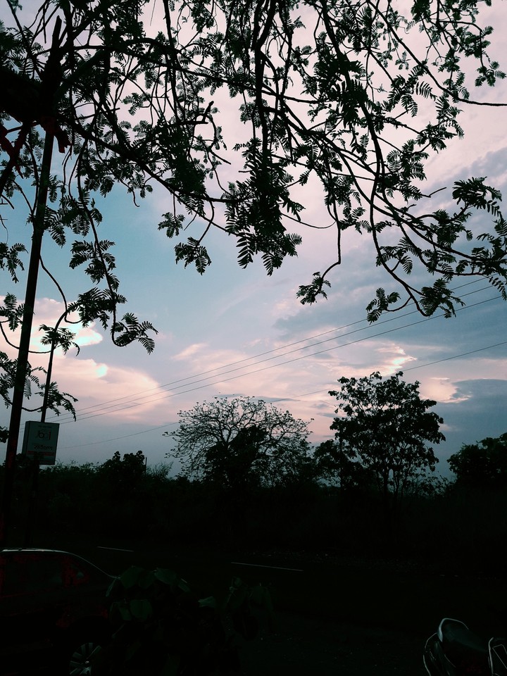 Nature is the most beautiful thing