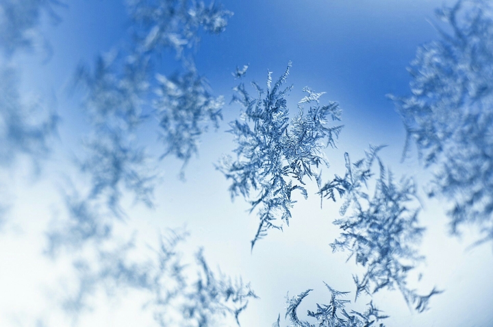 Snow Flakes