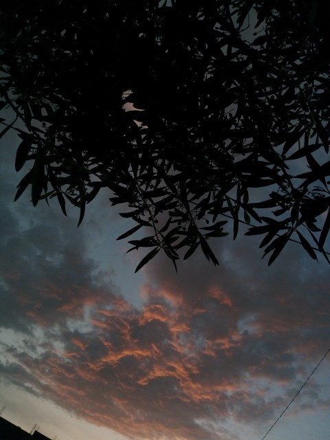 sky