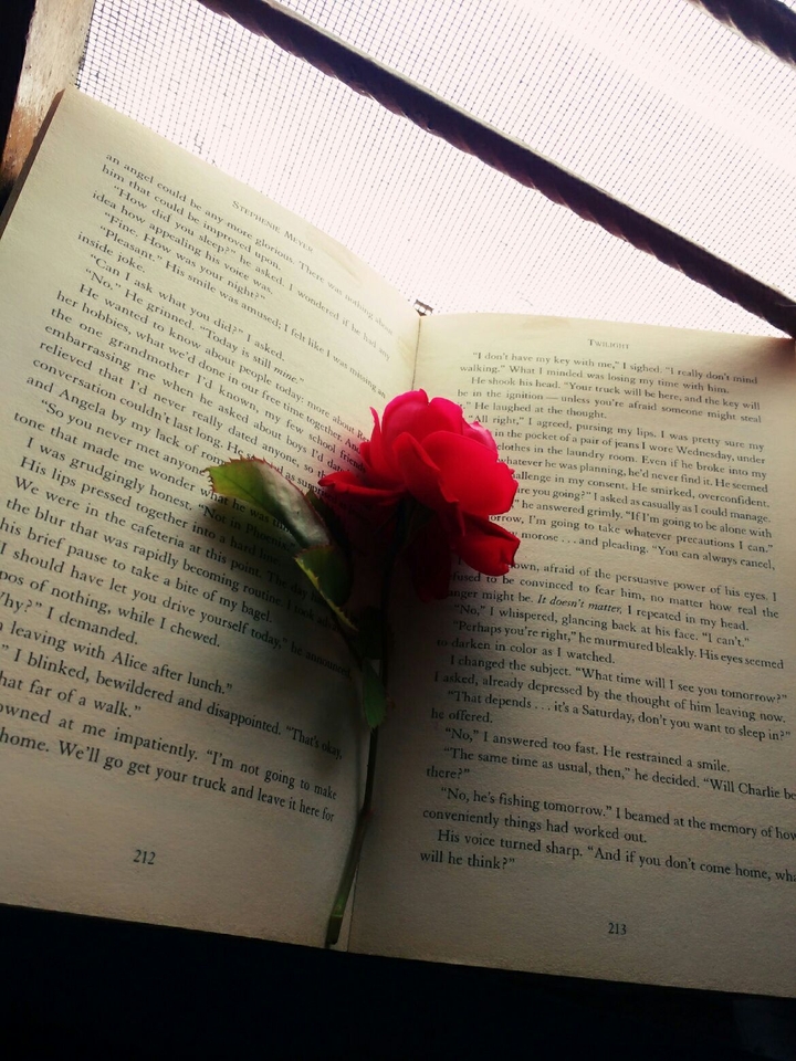 morning stories 