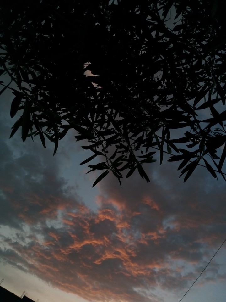 sky