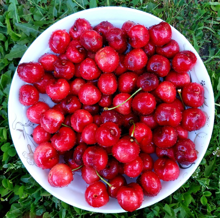 Tasty