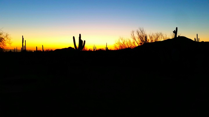 Arizona Sunset
