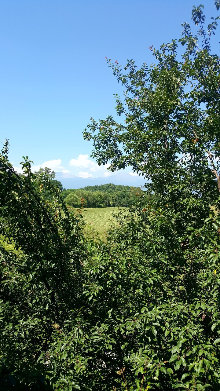 Nature