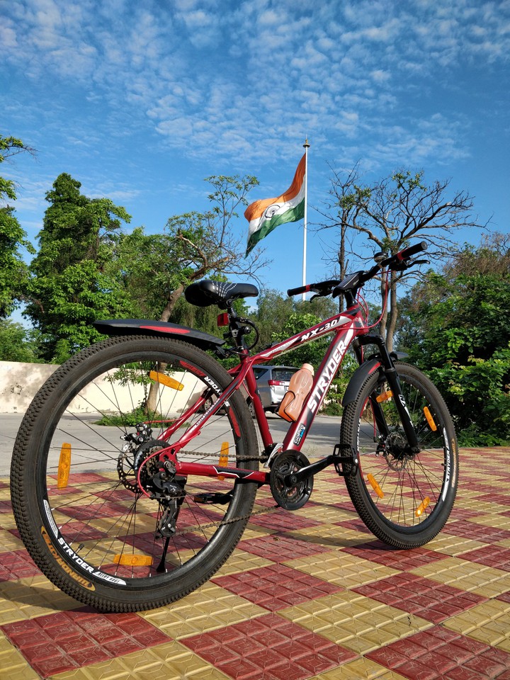 independence day