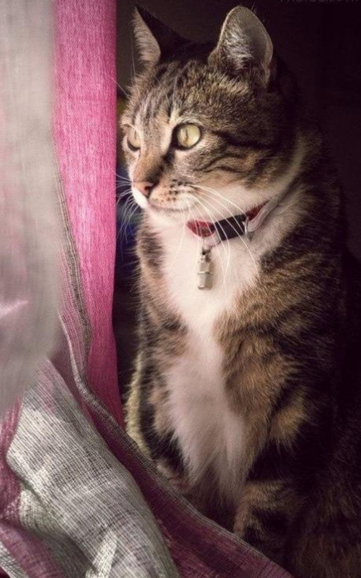 Jr