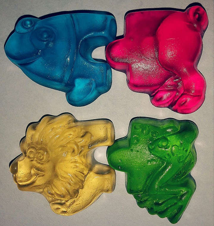 Animals
